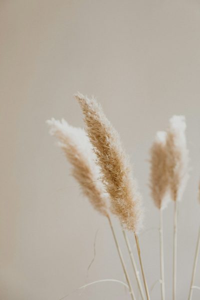 patrick-langwallner-3pR7d-tIRx8-unsplash Keeletoimetamine